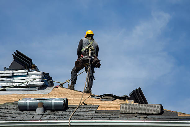 Professional Metal Roofing technician working in Thrall, TX
